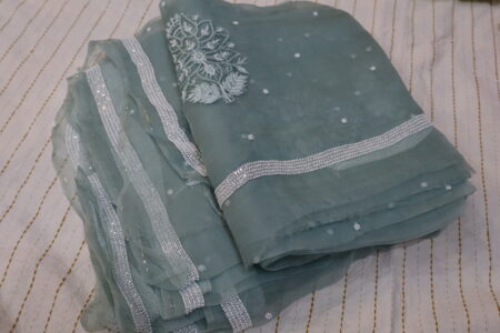 Elegant Soft Organza Saree with Chikankari Embroidery and Pearl Work