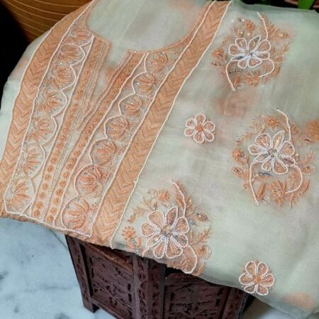 Elegance in every thread, Chikankari on Organza with sequins, poth work and cutdana work.