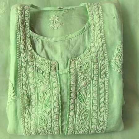 Elegant Light Green Organza Chikankari With Resham Thread & Poth work, Ready To Wear