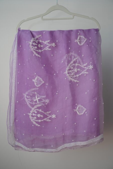 Elegant Soft Organza Saree with Chikankari Embroidery and Pearl Work