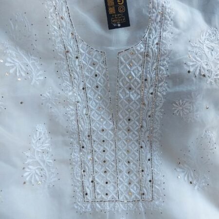 Elegant Soft Organza Silk Chikankari with Resham Thread and Mukaish Work.