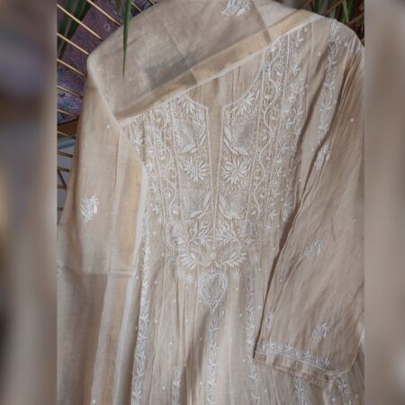 Tissue silk chikankari with elegant add-ons, where elegance meets timeless artistry.