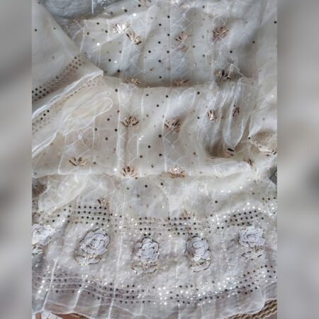 Elegance in every thread, Chikankari on Organza Silk with kamdani and poth work.