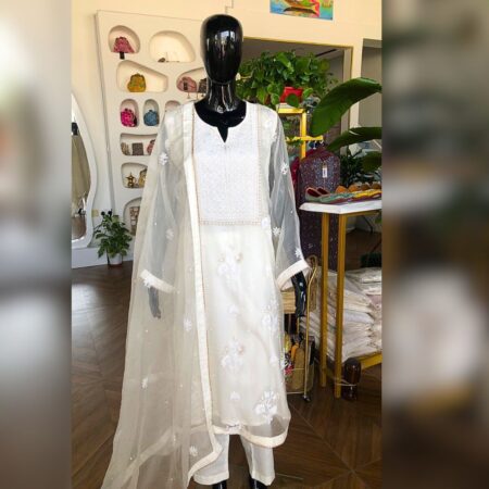Elegance in every thread, Chikankari on Organza Silk with kasab, poth and cutdana work.