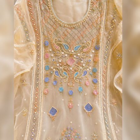 Elegance in every thread, Chikankari on Organza Silk with kasab, poth and colourful cutdana work.